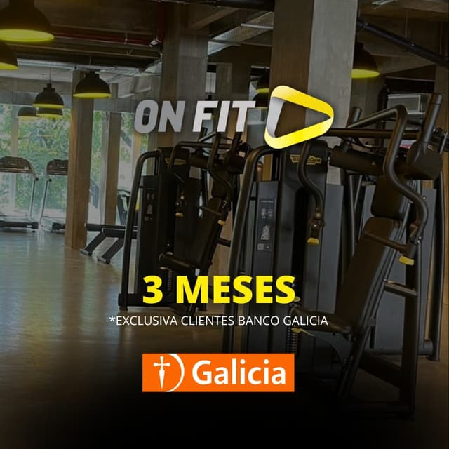 3 Meses